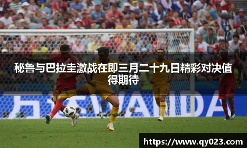 qm球盟会